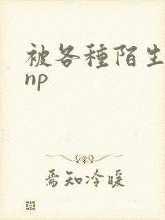 被各种陌生人 np