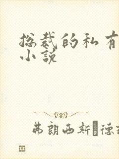 总裁的私有宝贝小说