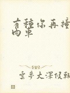 有种你再撞一下肉车