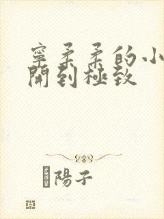 宁柔柔的小泬撑开到极致