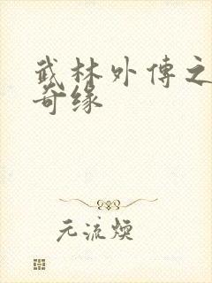 武林外传之同福奇缘