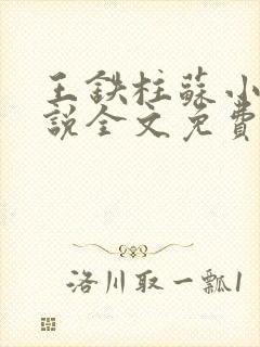 王铁柱苏小汐小说全文免费阅读最新章节