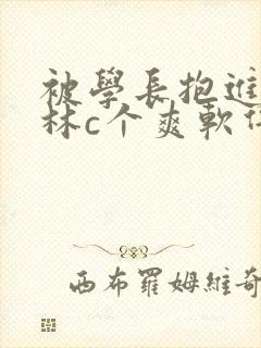 被学长抱进小树林c个爽软件