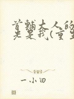 首辅大人的白月光是我(重生)