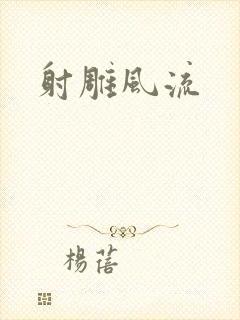 射雕风流