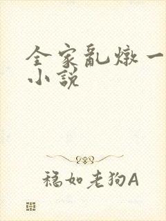 全家乱炖一锅烩小说