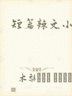 短篇辣文小说