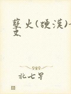 孽火(硬汉)今又