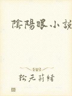 阴阳眼小说