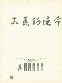 正义的使命小说