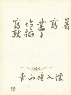 写作业写着写着就插了