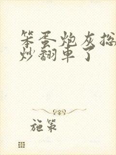 笨蛋炮灰总被爆炒翻车了