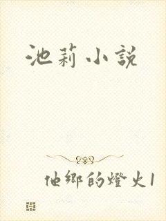 池莉小说