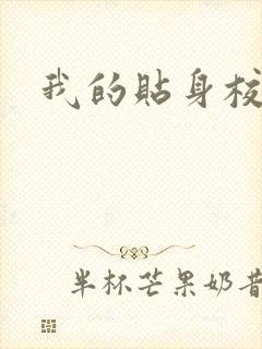 我的贴身校花