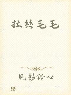 拉丝毛毛
