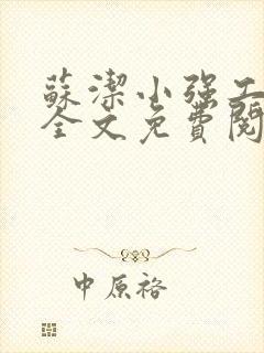 苏洁小强工地情全文免费阅读