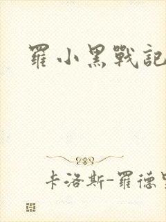 罗小黑战记小说