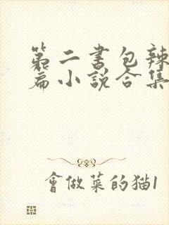 第二书包辣网短篇小说合集