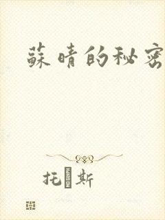 苏晴的秘密小说