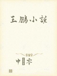 王鹏小说