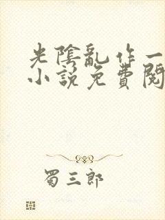 光阴乱作一团的小说免费阅读