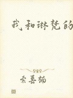 我和琳梵的故事