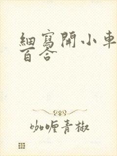 细写开小车车的百合