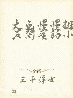 大龟慢慢挺进女友闺蜜的小说