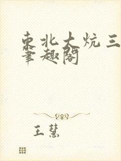 东北大炕三部曲笔趣阁