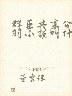 群臣共享公主银羽小说叫什么