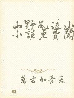 山野风流小神医小说免费阅读