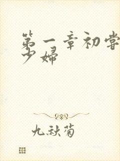 第一章初尝极品少妇