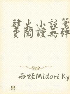 肆火小说笔趣免费阅读无弹窗