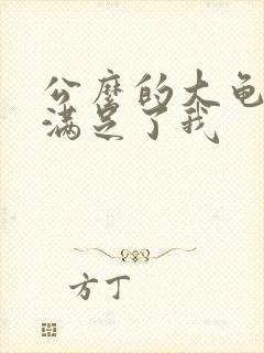 公么的大龟强大满足了我