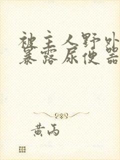 被主人野外调教暴露尿便器