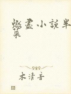 燃尽小说半截白菜