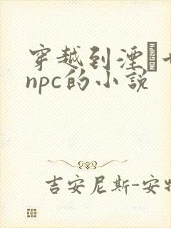 穿越到湮婸世界npc的小说