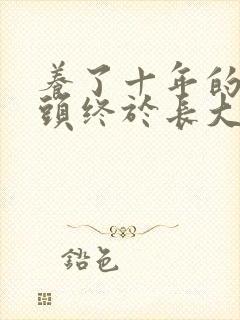 养了十年的小丫头终于长大了