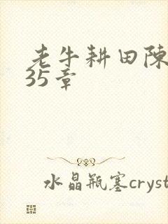 老牛耕田陈雪435章