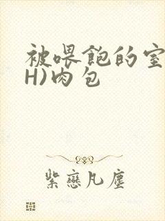 被喂饱的室友(H)肉包