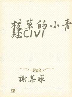 校草的小青梅不经C1V1