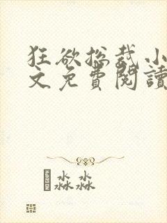 狂欲总裁小说全文免费阅读