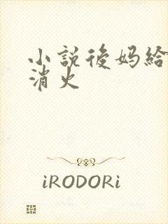 小说后妈给我消消火