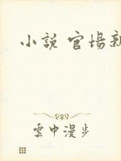 小说 官场新贵