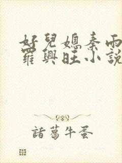 好儿媳秦雨罗明罗兴旺小说