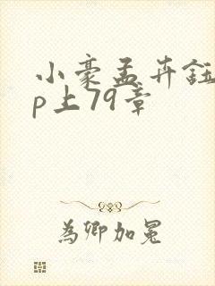 小豪孟卉钰慧三p上79章