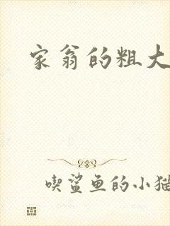 家翁的粗大