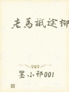 老马识途柳娇娇