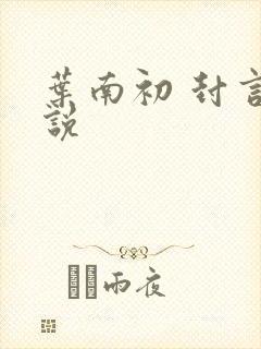 叶南初 封言小说