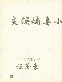 交换娇妻小说